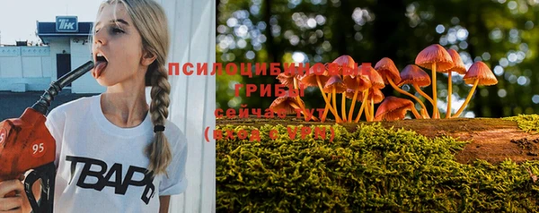 трава Богданович